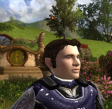 Monro Volunteer Assistant Chief Monro Volunteer Assistant Chief